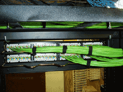 Category6 patch panel